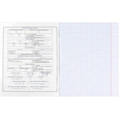Тетрадь предметнaя ФИЗИКА 'КОТЫ МЕМЫ' 48 л., А5+,клетка,справ.инф/69822 - фото 4