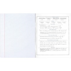Тетрадь предметнaя ФИЗИКА 'КОТЫ МЕМЫ' 48 л., А5+,клетка,справ.инф/69822 - фото 6