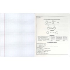 Тетрадь предметнaя ХИМИЯ 'КОТЫ МЕМЫ' 48 л., А5+,клетка,справ.инф/69826 - фото 6