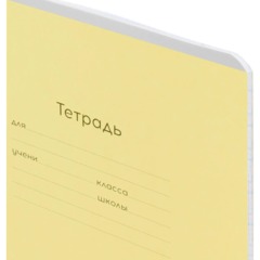 Тетрадь ЛИНИЯ 12л.проз.пласт.обл plastic cover КЛАССИКА NEW ассорти,12-1413 - фото 7