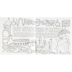 Раскраска от стресса 16+ 2шт/уп, 225х225 мм, 16 л, в ас-те, 74943 - фото 11