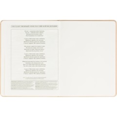 Дневник школьн 48л. ПЕСОЧНЫЙ обл. пастельный кожзам, тиснение,Д48-7786 - фото 11