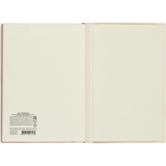 Ежедневник датированный 2027 IF 140x200мм 176л мягк Дереза I1938/white - фото 12