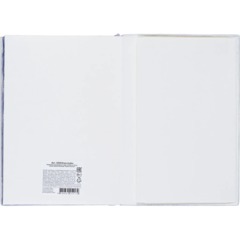 Ежедневник недатированный IF 140x200мм 160л мягк Родина I2008/Kamchatka - фото 9