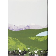 Ежедневник недатированный IF 140x200мм 160л мягк Родина I2008/Kamchatka - фото 10