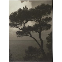 Ежедневник датированный 2027 IF 140x200мм 176л тверд Тишина I1920/wood - фото 12