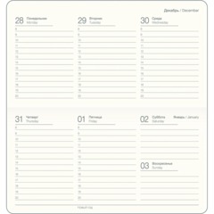 Еженедельник датированный 2027 IF 160x90мм 64л тверд Исследовать I2100/grey - фото 5