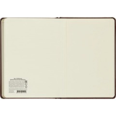 Ежедневник датированный 2027 IF 140x200мм 176л тверд Британия I1910/brown - фото 12