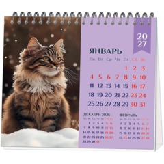 Календарь-домик настольный 2027 Котенок 120х110мм спираль 7л - фото 2