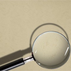 Обложки для переплета картонные Promega office гол.кожаА4,230г/м2,100шт/уп. Обложки для переплета картонные Promega office гол.кожаА4,230г/м2,100шт/уп. - фото 3