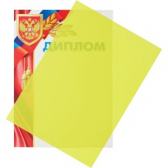 Обложки для переплета пластиковые Promega office желтыеА4,280мкм,100шт/уп. - фото 3