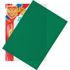 Обложки для переплета пластиковые Promega office зел. А4,280мкм,100шт/уп. Обложки для переплета пластиковые Promega office зел. А4,280мкм,100шт/уп. - фото 3