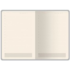 Ежедневник недатированный A5 СТАТУС графитовый серый 3-786/08 - фото 8