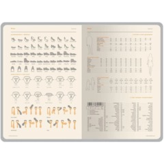 Ежедневник недатированный А5 БОСТОН черный, оранжевый обрез 3-228/20 - фото 8