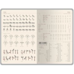 Ежедневник недатированный А5 СОХО красный 3-683/04 - фото 5