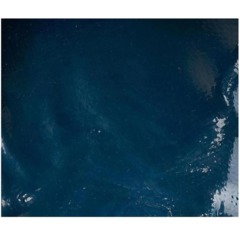 Перчатки STRONGSHELL арт.28-401 полное нитр.покрытие крага р9,КК1192119 - фото 3