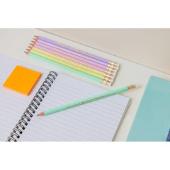 Карандаш Ч/Г BIC Evolution Pastel с ластиком, в асс,518306 - фото 11