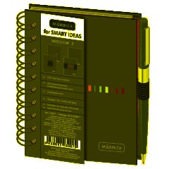 Бизнес-тетрадь Wisdom 7,А6,120л,100х140, 3 разд,рез под руч,клет,рад2,0007