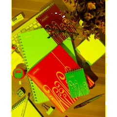 Бизнес-тетрадь А4,140 л,пласт обл, с разд,спир,ATTACHE FANTASY,салат - фото 11