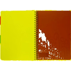 Бизнес-тетрадь А4,140 л,пласт обл, с разд,спир,ATTACHE FANTASY,оранж - фото 8