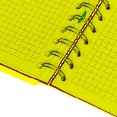 Бизнес-тетрадь А4,140 л,пласт обл, с разд,спир,ATTACHE FANTASY,оранж - фото 9