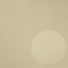 Обложки для переплета картонные ProfiOffice черные кожаА4,270г/м2,100шт/уп. Обложки для переплета картонные ProfiOffice черные кожаА4,270г/м2,100шт/уп. - фото 4