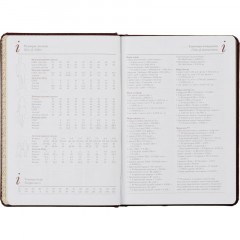 Ежедневник недатированный А5, Sidney Nebraska бордовый, 136 л. 3-128/01 Ежедневник недатированный А5, Sidney Nebraska бордовый, 136 л. 3-128/01 - фото 14