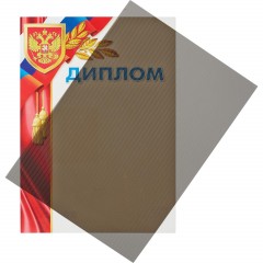 Обложки для переплета пластиковые Promega office дымч.рисА4,400мкм,100шт/уп Обложки для переплета пластиковые Promega office дымч.рисА4,400мкм,100шт/уп - фото 3