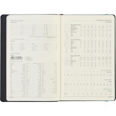 Ежедневник недатированный коричневый А5  MEGAPOLIS SOFT 3-470/06 - фото 12