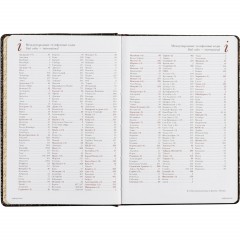 Ежедневник недатированный коричневый  А5+ СAIMAN 3-494 Д - фото 10