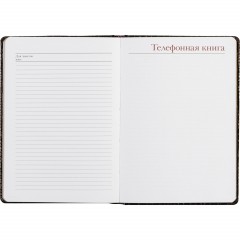 Ежедневник недатированный коричневый  А5+ СAIMAN 3-494 Д - фото 19