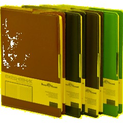 Ежедневник недатированный А5  METROPOL  (СИНИЙ)3-491/01 - фото 3