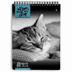 Блокнот КОШКИ А5 40л на гребне в ассорт 3-40-462 Д - фото 6