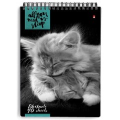 Блокнот КОШКИ А5 40л на гребне в ассорт 3-40-462 Д - фото 7