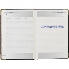 Ежедневник полудатированный черный А5 IMPERIUM 3-023/120 Ежедневник полудатированный черный А5 IMPERIUM 3-023/120 - фото 17