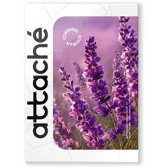 Фотобумага для цветн.струйн.печати (А4, 90г, матовая) пачка 100л - фото 3