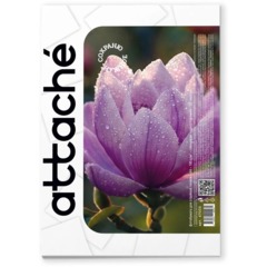 Фотобумага для цветн.струйн.печати (А4, 180г, глянцевая) пачка 50л - фото 3