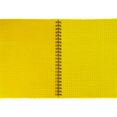 Бизнес-тетрадь 60л,кл,А5,Yellow Pad,спираль,тон.блок 70г/м - фото 6