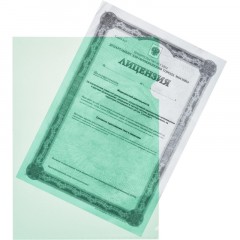 Папка уголок Attache Economy п/э цв. E-100/334T зеленая Россия 10 шт/уп Папка уголок Attache Economy п/э цв. E-100/334T зеленая Россия 10 шт/уп - фото 4