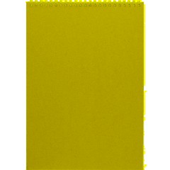 Блокнот на спирали А4 60л. БИЗНЕС  ATTACHE 14с160 клет - фото 9