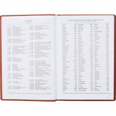 Ежедневник недатированный коричнев,А5,148х218мм,176л,ATTACHE Вива - фото 2