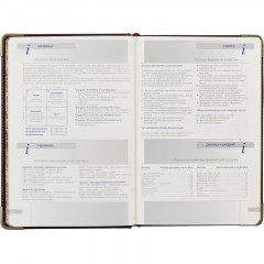 Ежедневник полудатированный коричневый А5 IMPERIUM 3-023/123 Ежедневник полудатированный коричневый А5 IMPERIUM 3-023/123 - фото 14