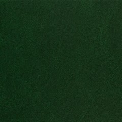 Ежедневник недатированный зелен,А5+ ,145х205мм,136л, Ideal 3-122/01 Д Ежедневник недатированный зелен,А5+ ,145х205мм,136л, Ideal 3-122/01 Д - фото 7