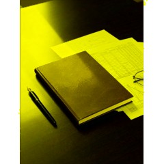 Ежедневник недатированный зелен,А5+ ,145х205мм,136л, Ideal 3-122/01 Д - фото 20