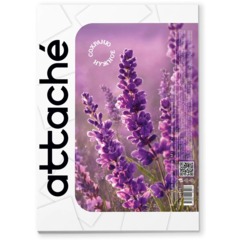 Фотобумага для цветн.струйн.печати (А4, 200г, матовая) пачка 50л - фото 3