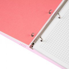 Бизнес-тетрадь Attache Rainbow Style А4 на кольцах, смен.блок, розов Бизнес-тетрадь Attache Rainbow Style А4 на кольцах, смен.блок, розов - фото 9