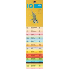 Бумага цветная IQ COLOR (А4,80г,YE23-желтый) пачка 500л. - фото 3