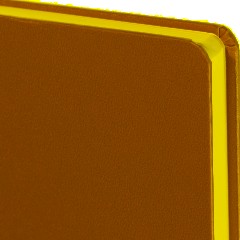 Ежедневник недатированный золото, MEGAPOLIS А5, 142х214мм,320стр.3-281/08 - фото 5