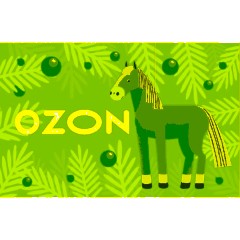 Карта подарочная Ozon 3000р - фото 2