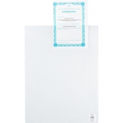 Файл-вкладыш А2, ПВХ , 180 мкм - фото 2